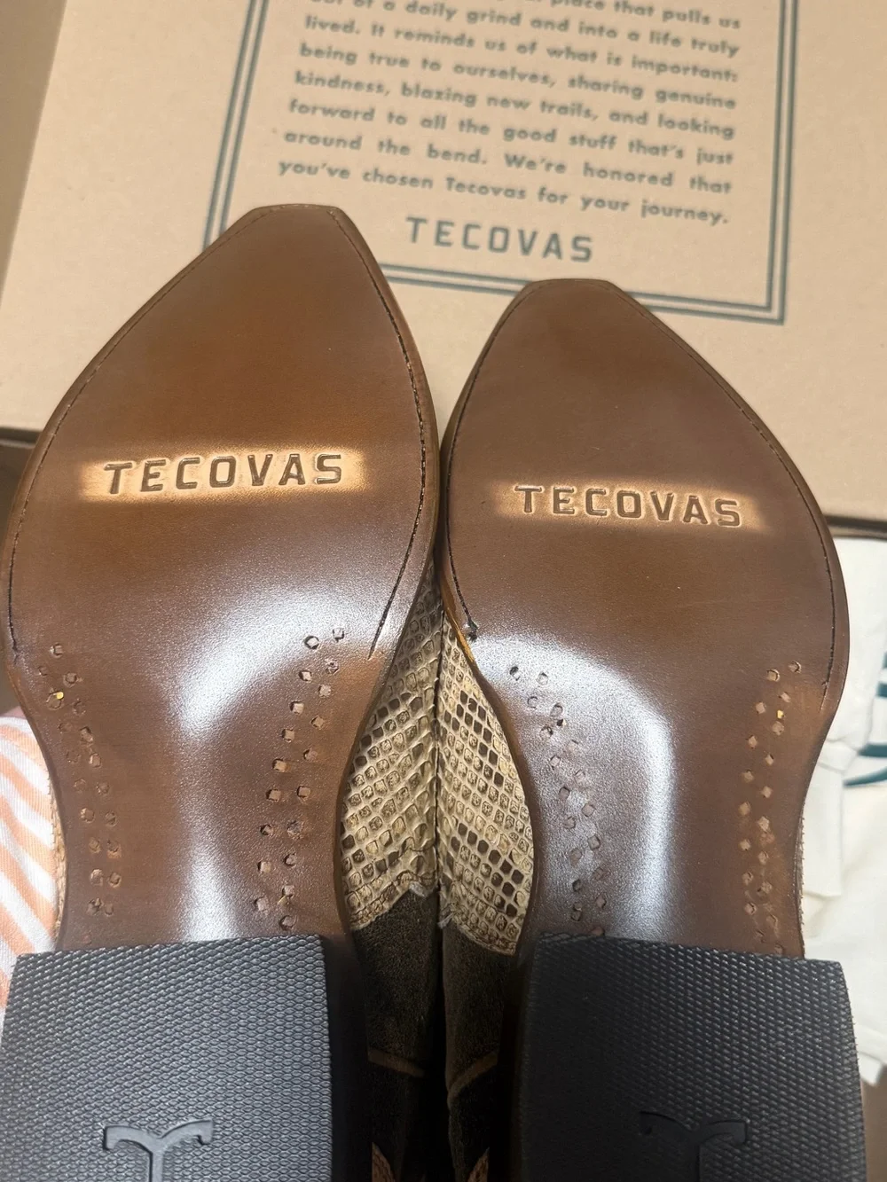 Tecovas The Garrett Invasive Python Color Mangrove Limited Edition - 12.5 D